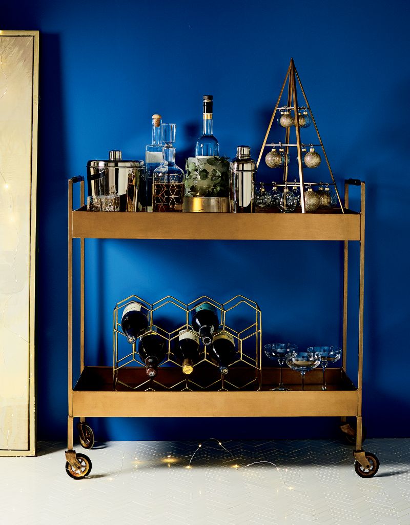 Ice Mold/Wine Bottle Chiller + Reviews Crate & Barrel