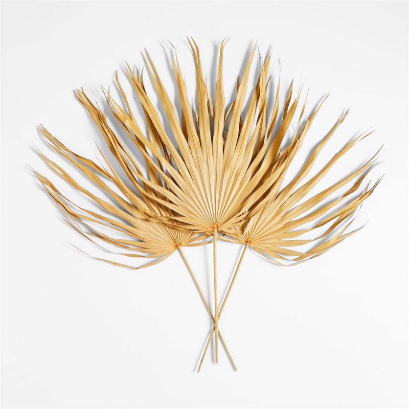 Dried Palm Fronds, Set of 3 + Reviews Crate & Barrel