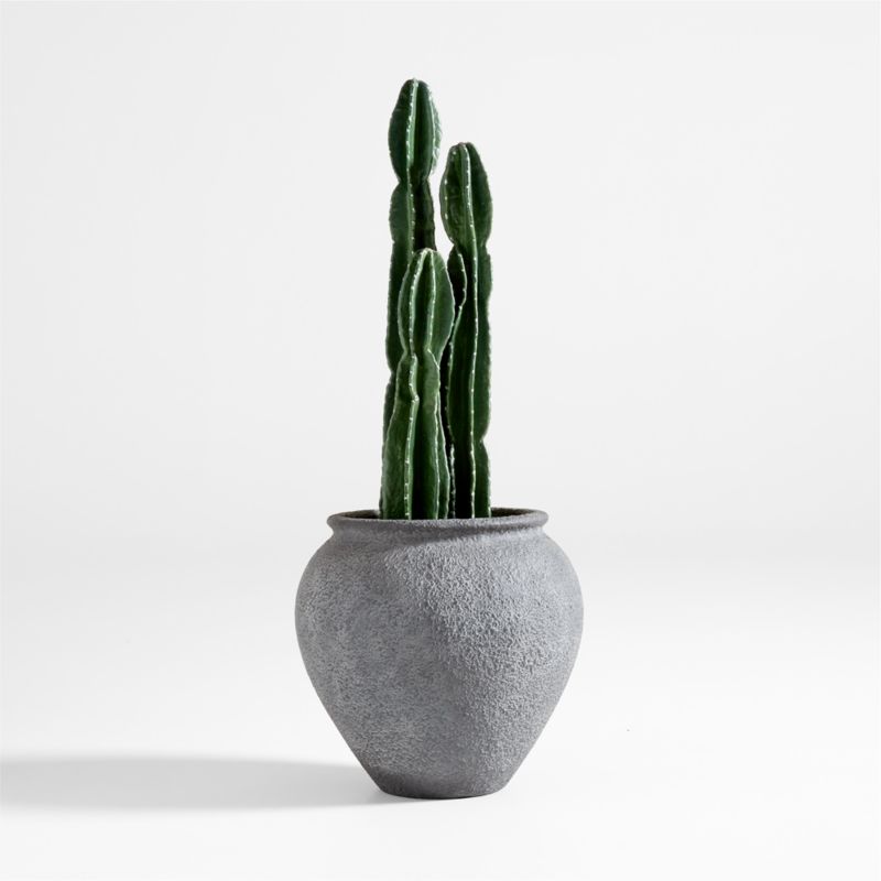 Faux Tall Potted Cactus Plant + Reviews Crate & Barrel Canada