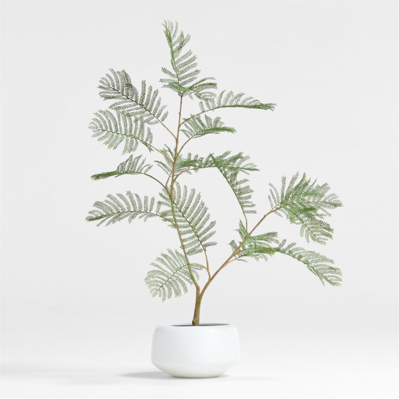 Potted Faux Fern 3' + Reviews Crate & Barrel Canada