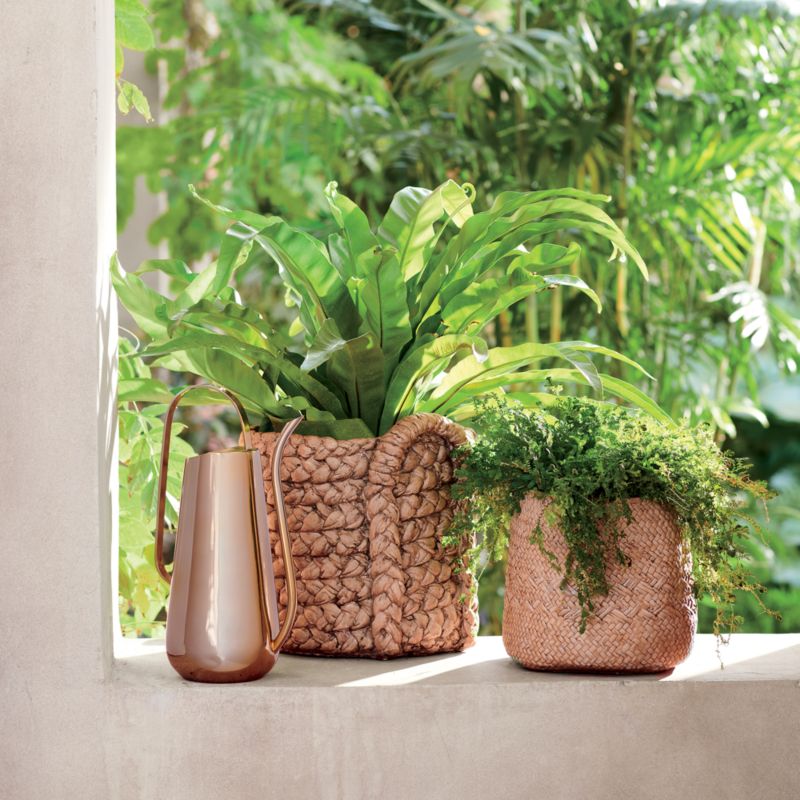 BrassPlated Watering Can CB2 Canada