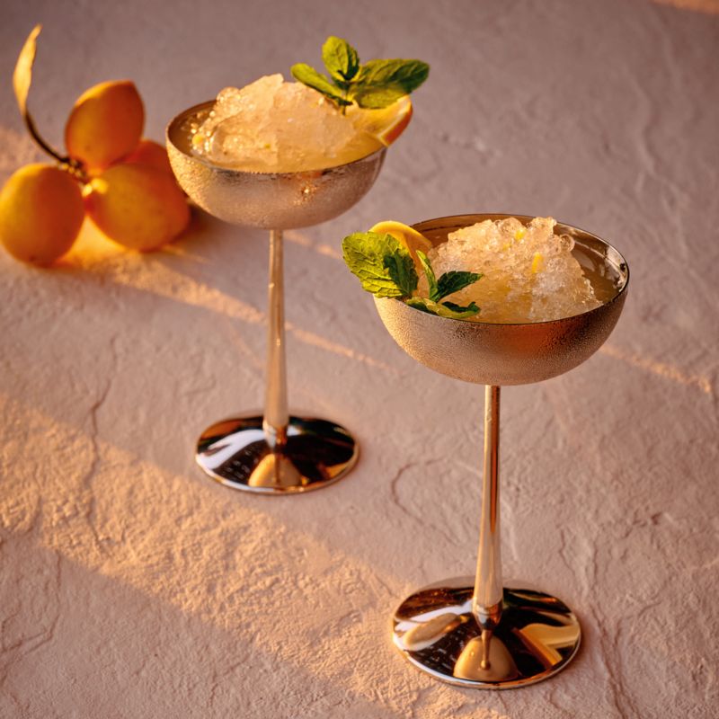 Emporia Stainless Steel Coupe Cocktail Glass + Reviews CB2