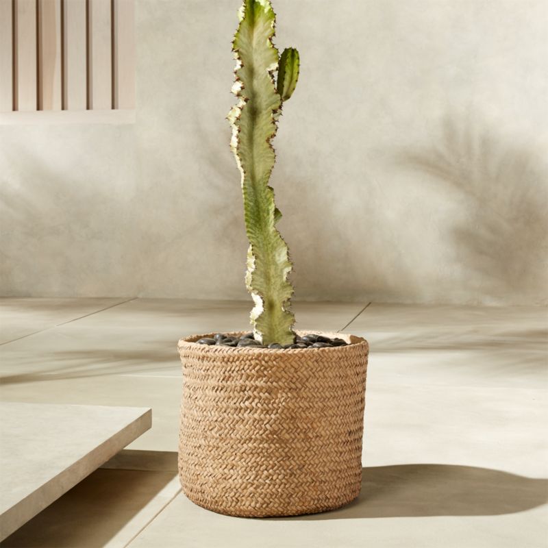 Cement Basket Large Planter CB2 Canada