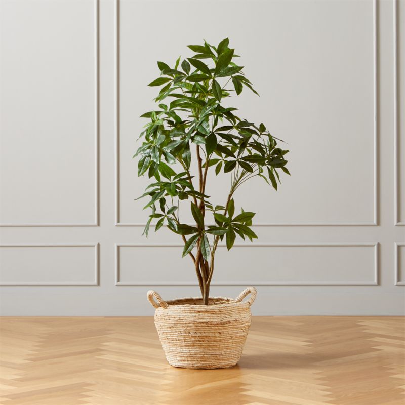 Faux Money Tree with Cobra Basket CB2