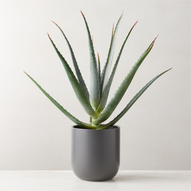 Faux Potted Aloe Vera Plant 26" + Reviews CB2