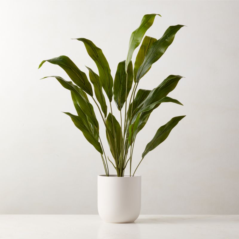 Faux Potted Iron Leaf Plant 35" + Reviews CB2