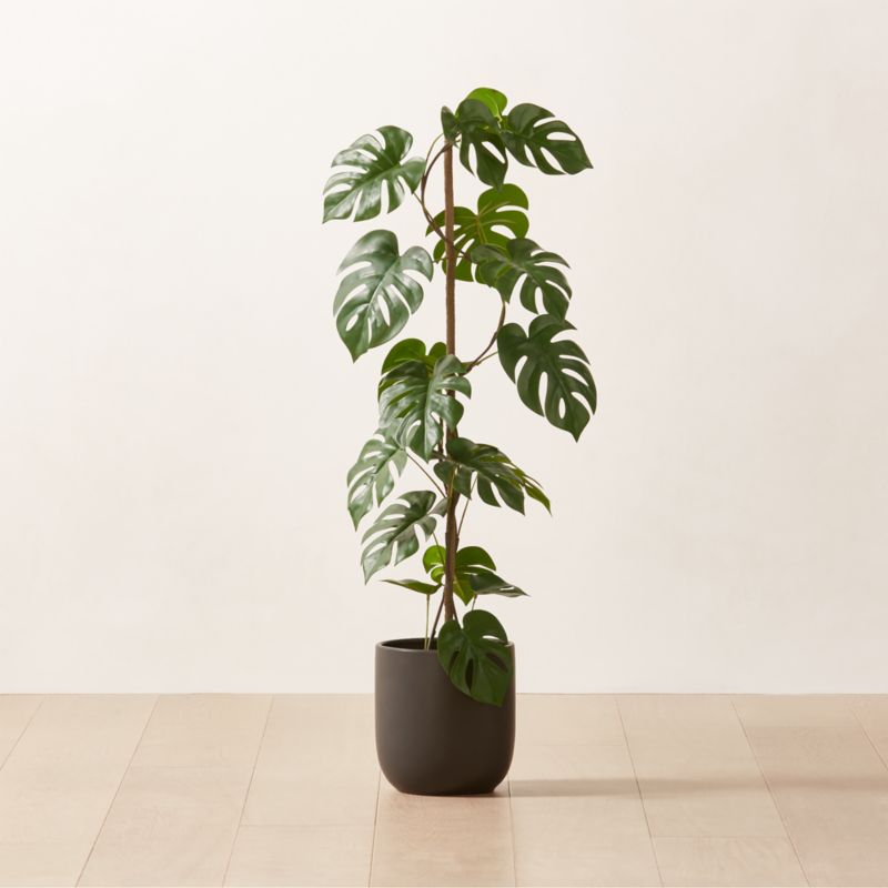 Faux Potted Monstera Deliciosa 40" + Reviews CB2 Canada