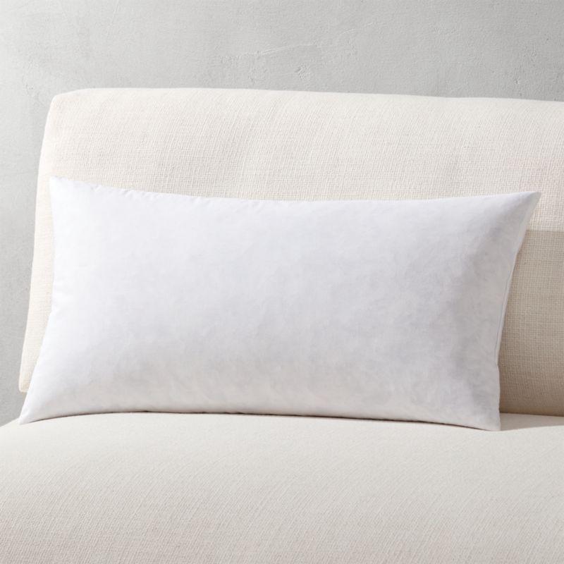 23"x11" FeatherDown Modern Throw Pillow Insert + Reviews CB2 Canada