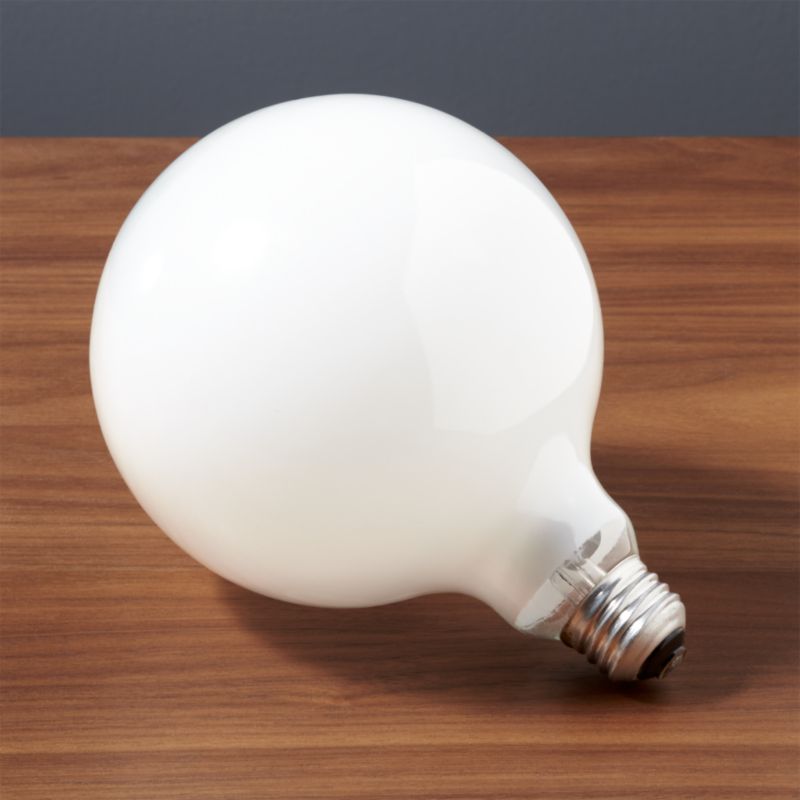 G40 Large Globe 60W Light Bulb + Reviews | CB2