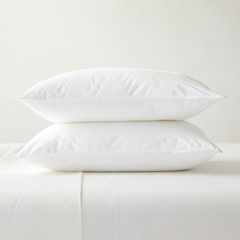 Hypoallergenic DownAlternative Standard Pillow Inserts Set of 2
