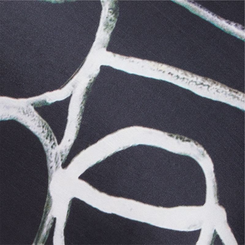 Kyo Black and White Silk Throw Pillow with DownAlternative Insert 20