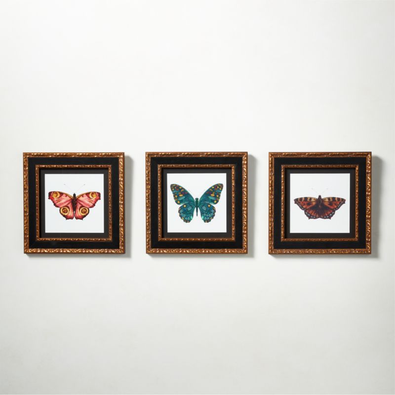 Metamorphosis Modern Framed Wall Art Set of 3 CB2 Canada