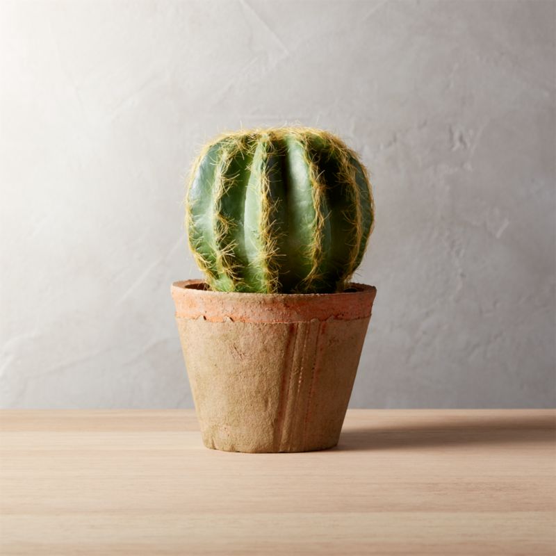 6" Faux Small Potted Cactus + Reviews CB2