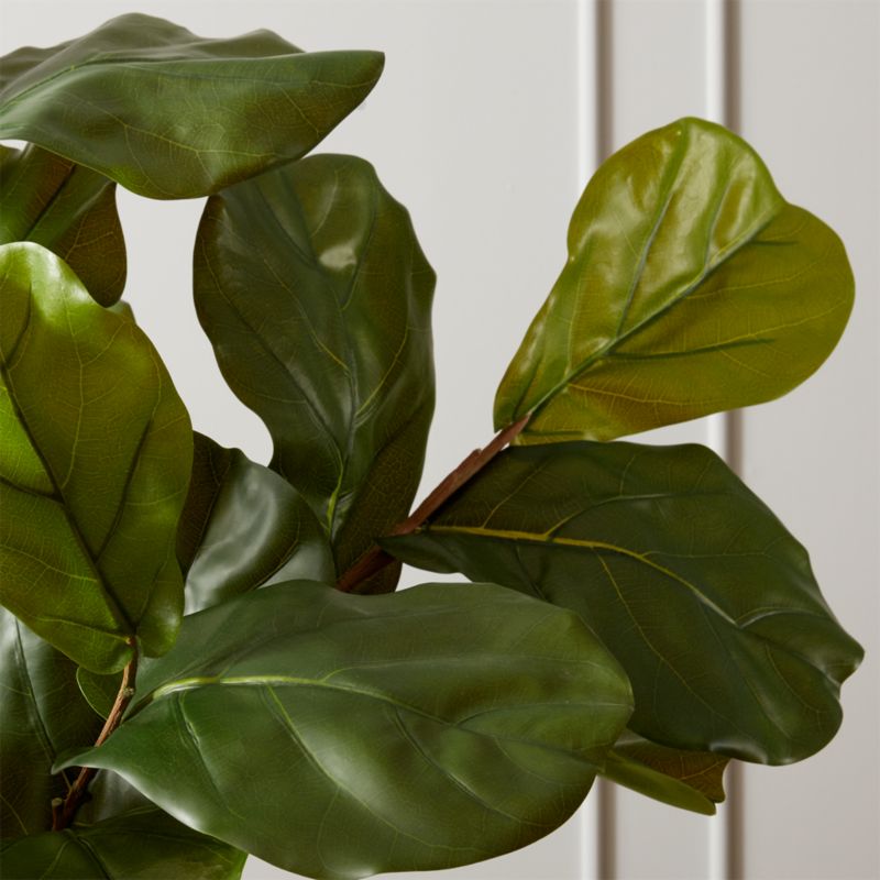 Faux Potted Fiddle Leaf Fig 7' CB2 Canada