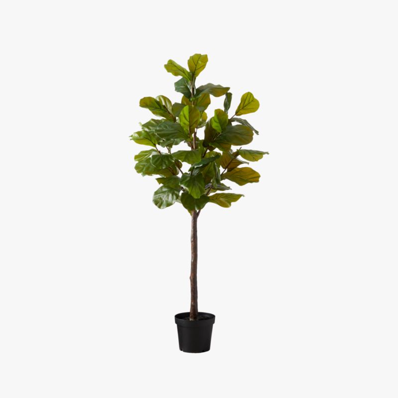Faux Potted Fiddle Leaf Fig 7' CB2 Canada
