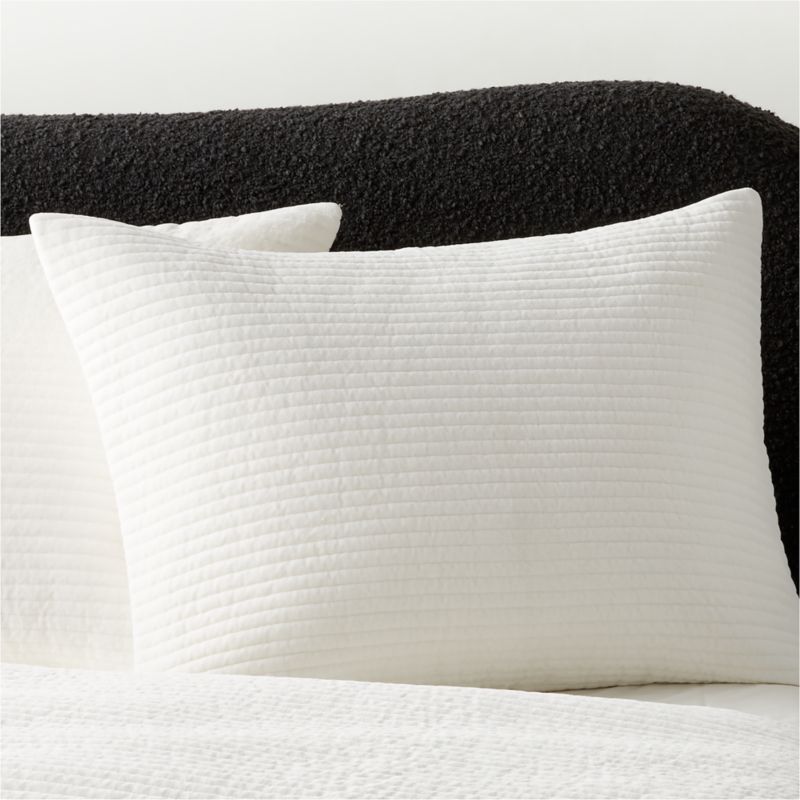 Shadow Ivory Velvet King Pillow Shams Set of 2 + Reviews CB2
