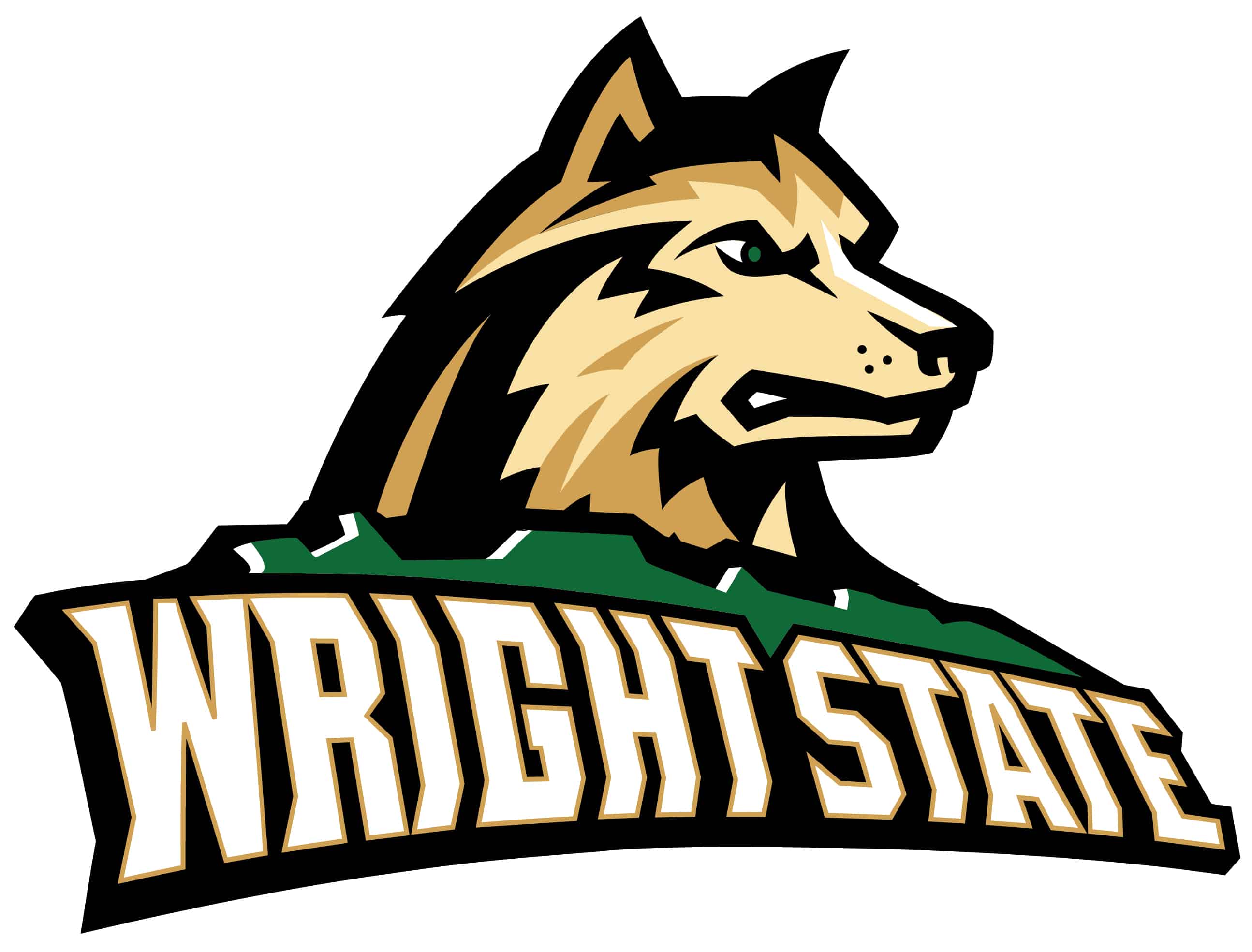 Get To Know The 2026 Horizon Tournament Champs Wright State Basketball