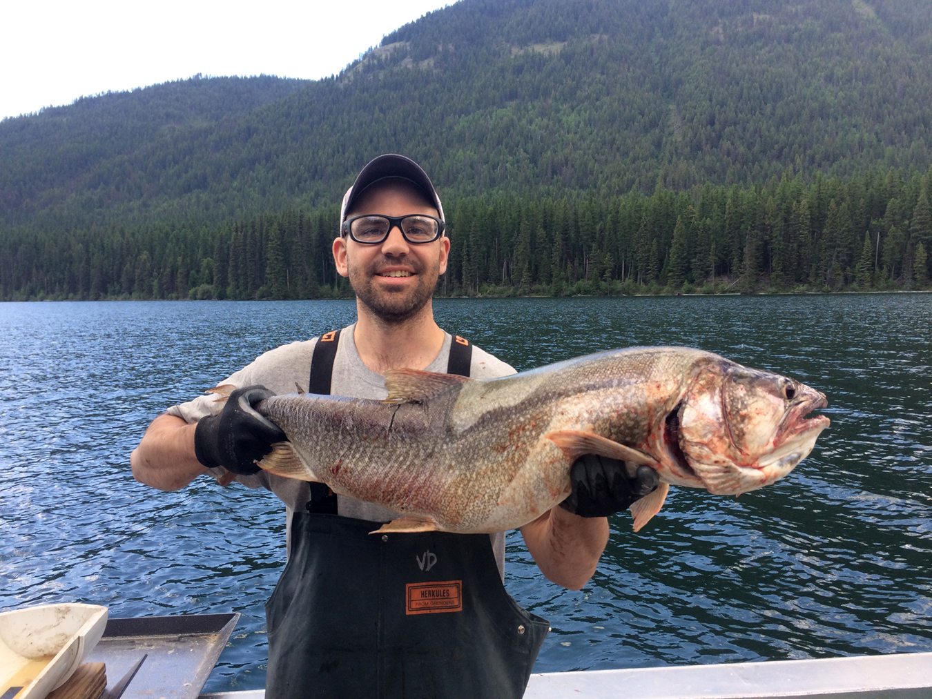 Montana Study Reveals How Invasive Species Over Time Disrupt Native Species’ Food s; Lake