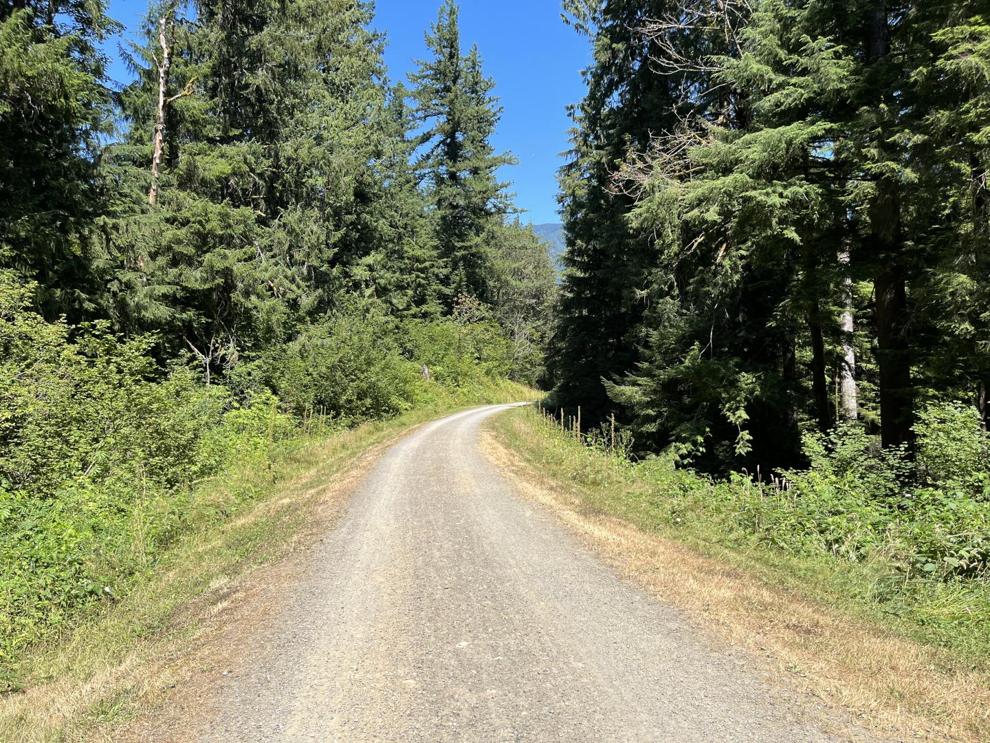 Gravel RideCarnation to Rattlesnake Lake "out and back" Cascade