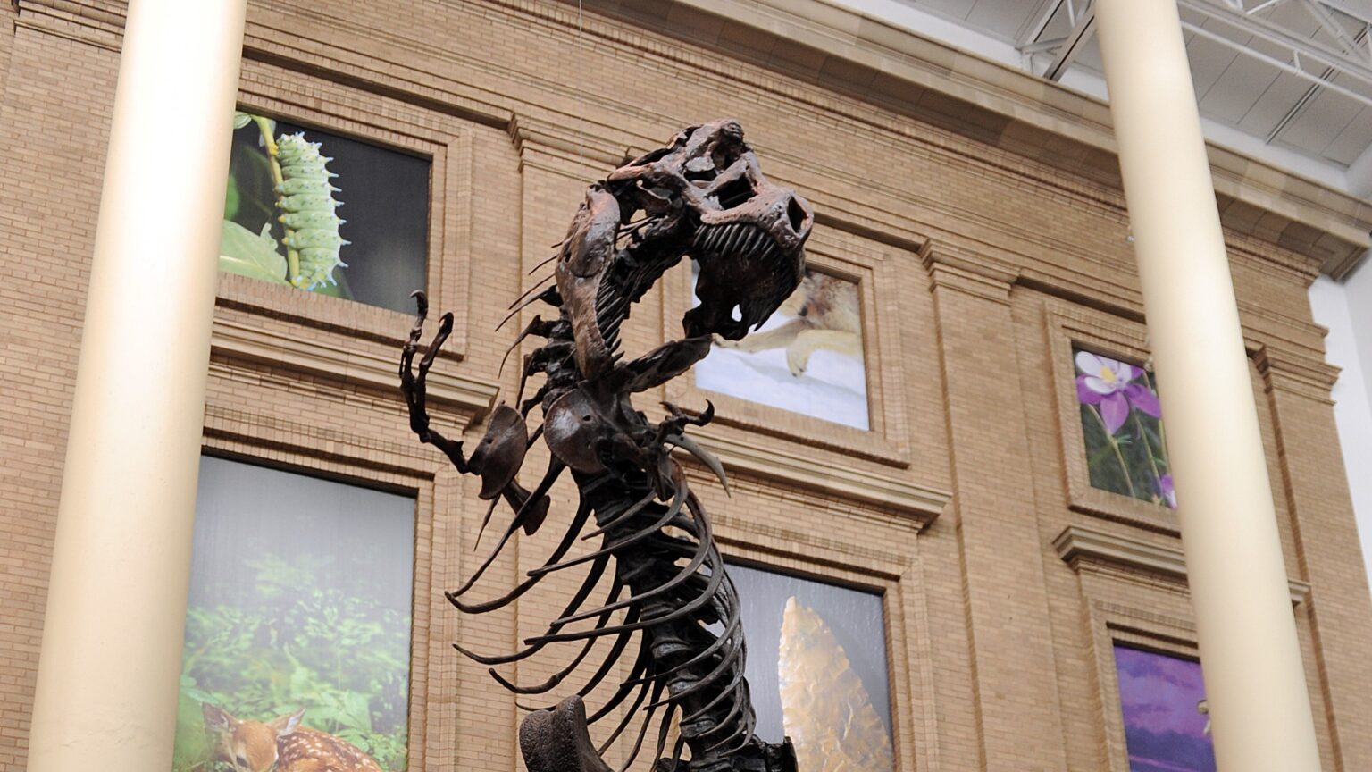 ArtsConnect Denver Museum of Nature and Science