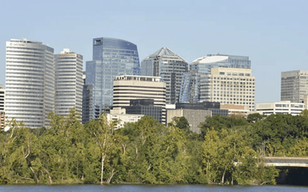 September Rental Activity Report Cities in Demand CBC Atlantic