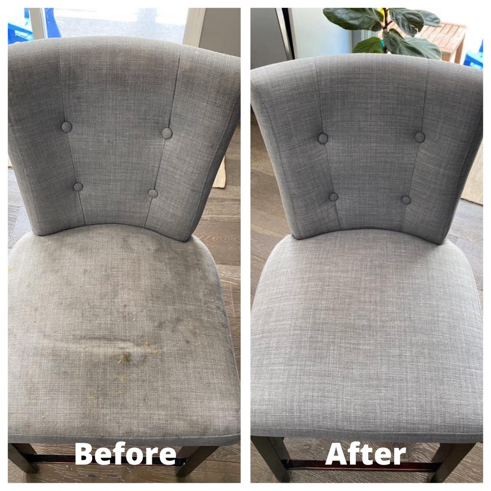 Carpet Clean Services Pet Carpet Cleaning Near Me