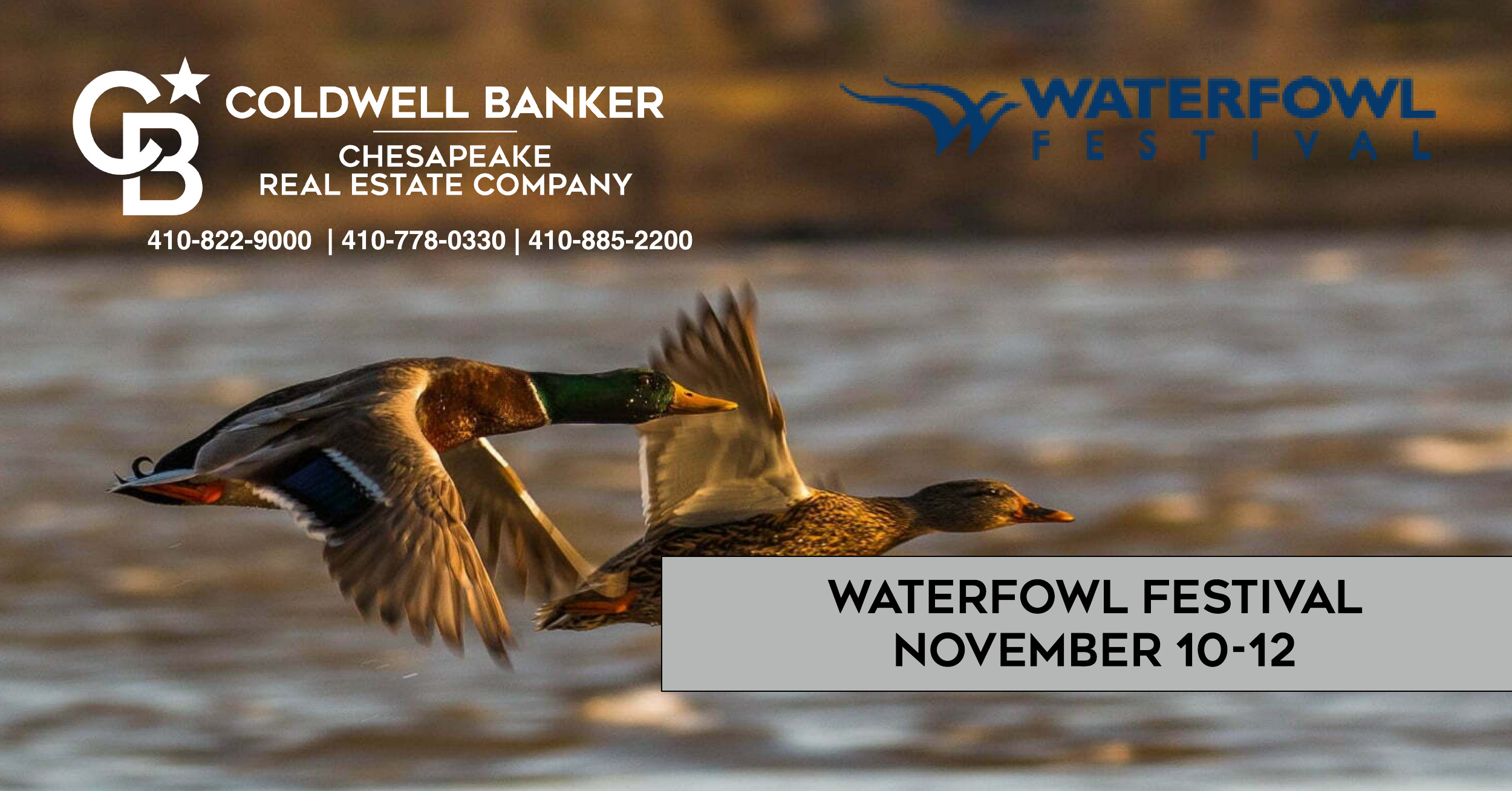 Experience the Charm of The Waterfowl Festival in Easton, Maryland