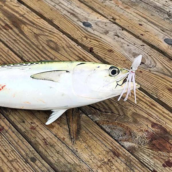 Longfin Jigs for Bonito, Mahi Mahi, and more from C&B Custom Jigs LLC