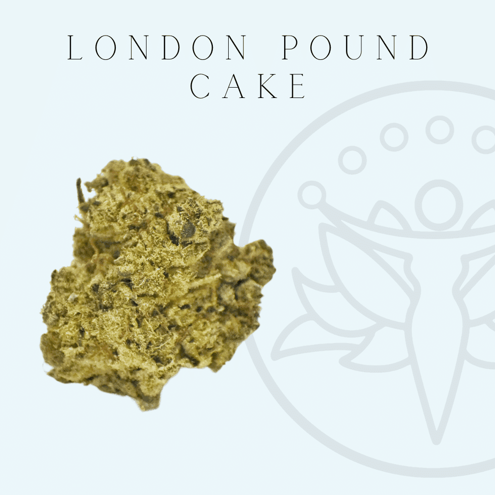 THCA Flower London Pound Cake (Indica Hybrid) CBD House of Healing in