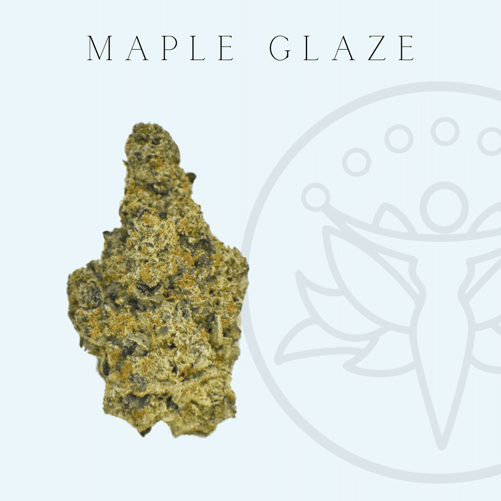 THCA Flower Maple Glaze (Hybrid) CBD House of Healing in Abilene TX