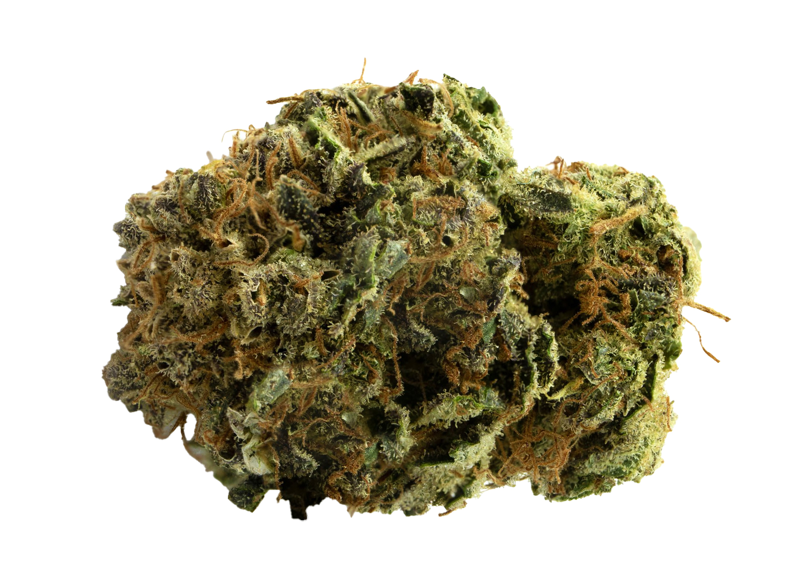 Candy Kush Fri och diskret leverans direkt hem CBDBuds.se