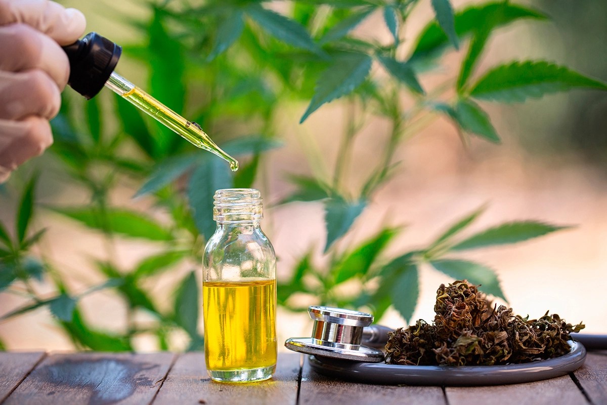 Cómo hacer aceite de CBD en casa Alphagreen Academy