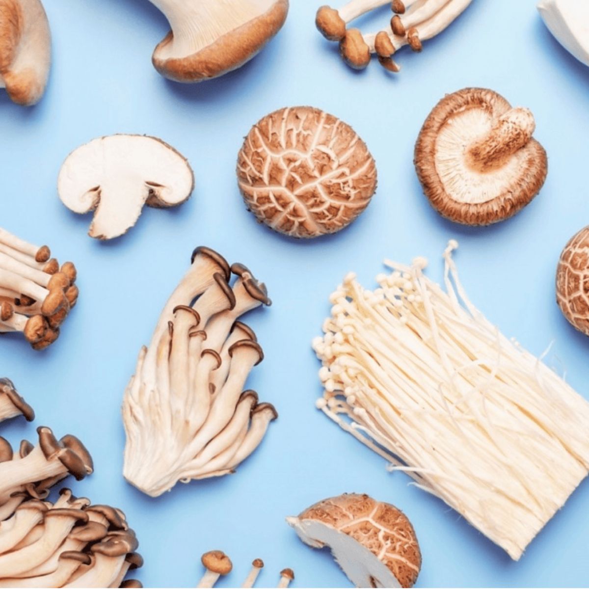 5 Functional Mushrooms Benefits From Immunity To Clarity