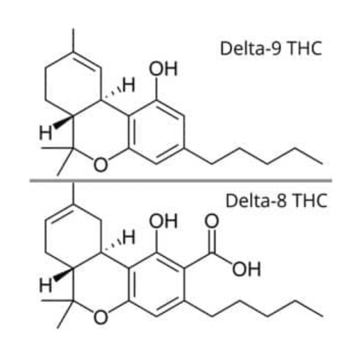 Comparison Of Delta 9 Vs Delta 8 Understanding Differences