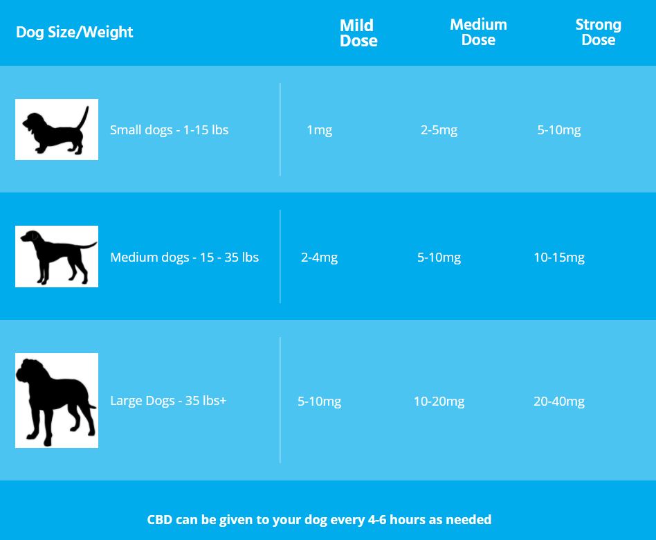Best CBD Oil For Dogs In Canada CBD Handle