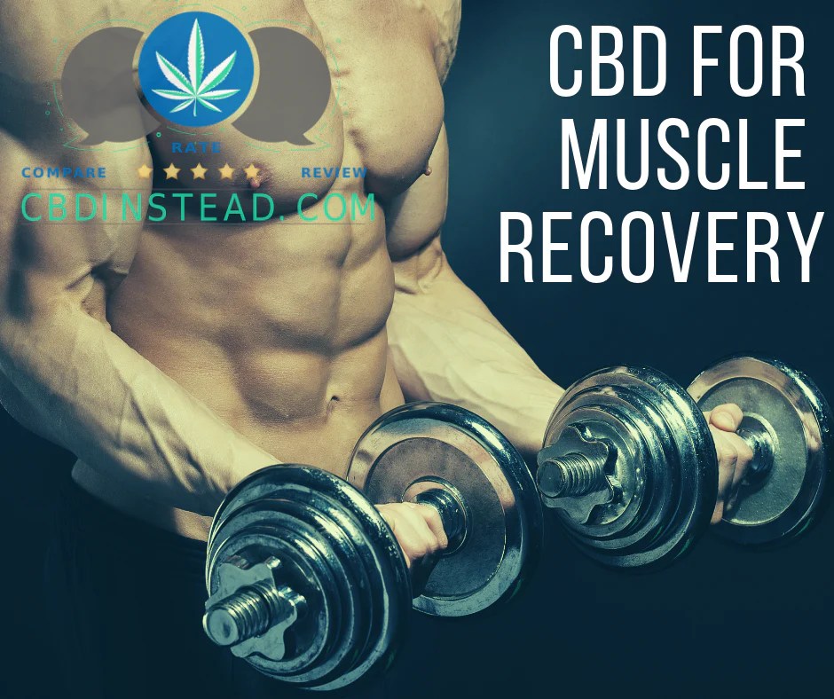 CBD For Muscle Recovery CBD Instead