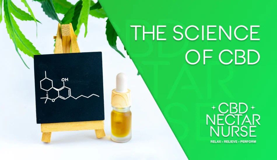 The Science Behind CBD CBD NectarNurse