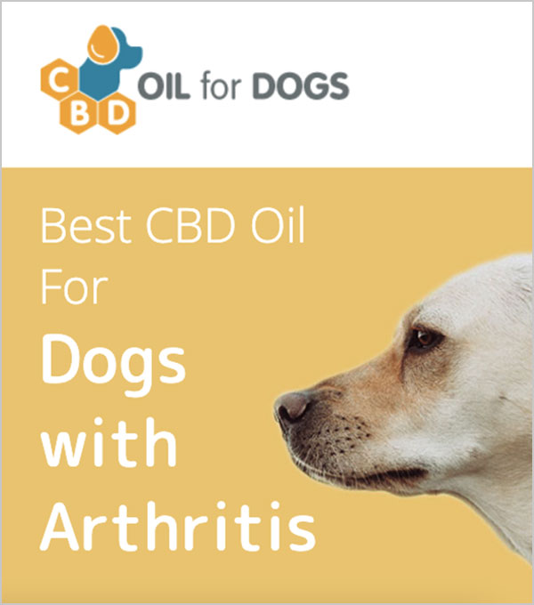 7 Best CBD Oils for Dogs with Arthritis Expert Reviews + Tips in 2023
