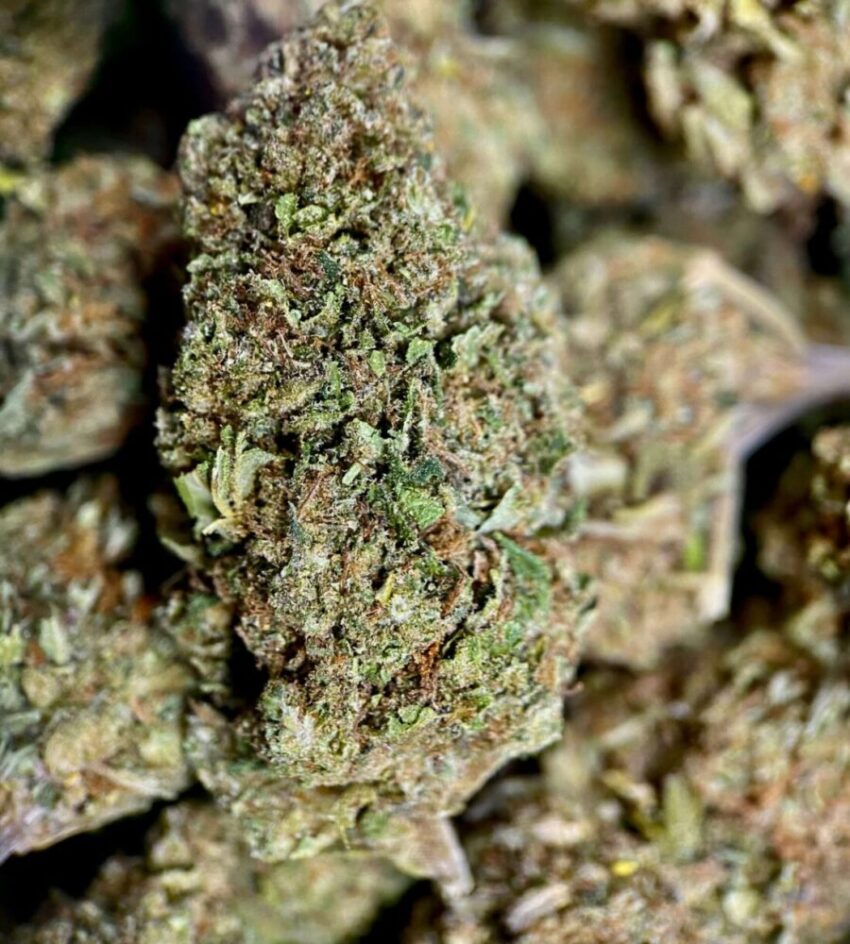 TANGERINE DREAM CBD Flower legal CBDOO