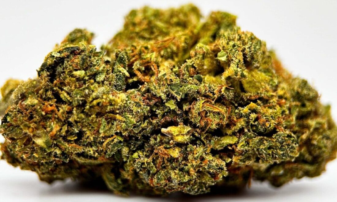 SUNSET RUNTZ HHCPO 25 fleur de CBD CBDOO.fr