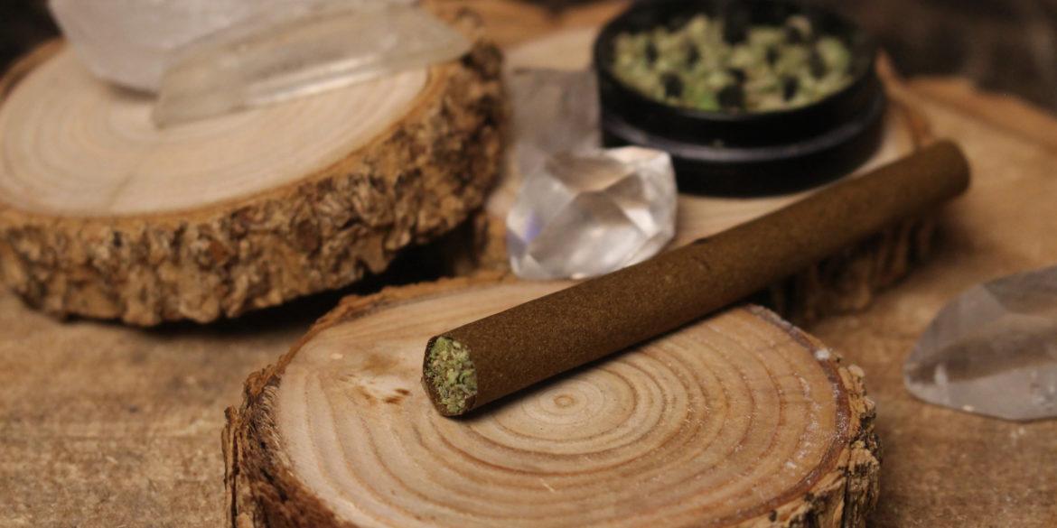 How to roll a blunt (7 steps with photos) CBD Oracle
