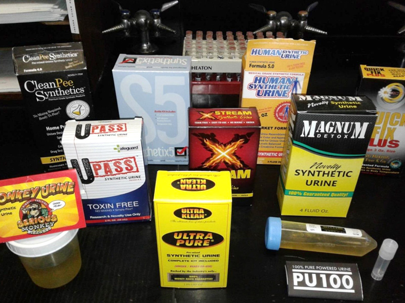 How to Pass a Drug Test for Weed CBD Oracle