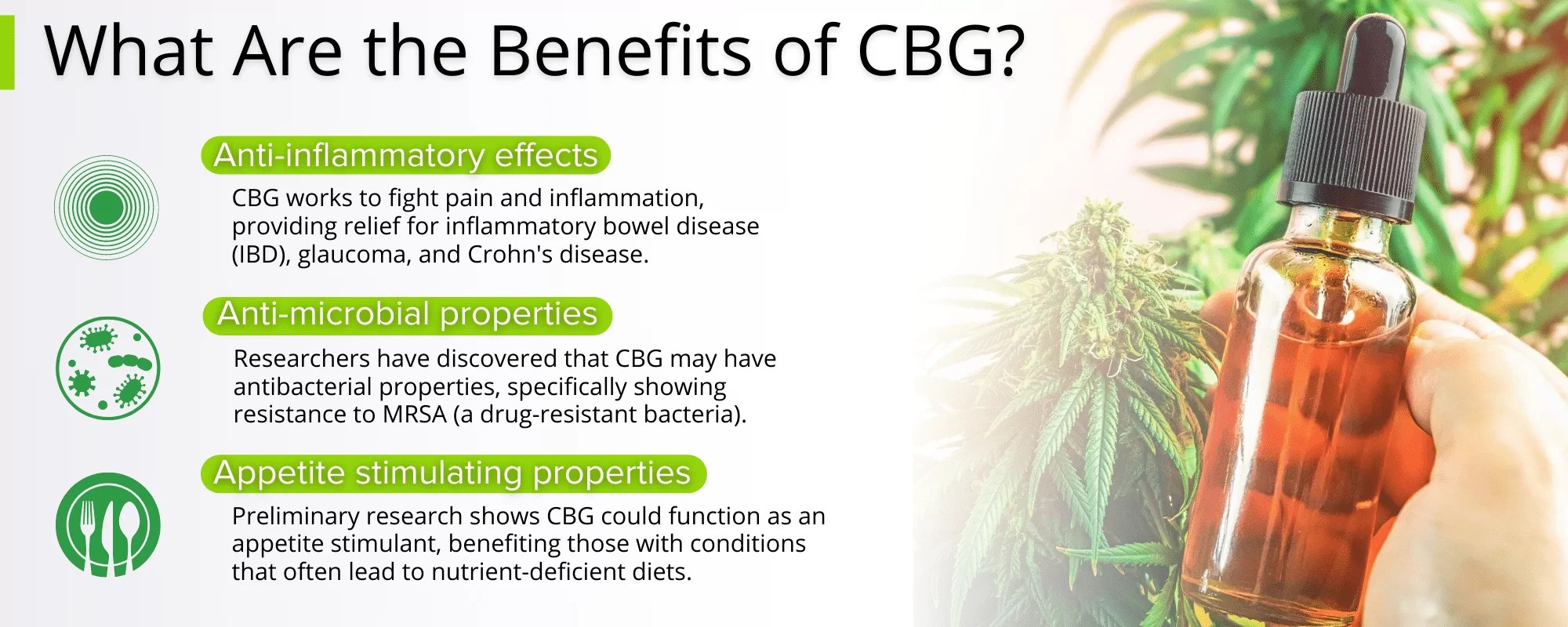 What’s the Difference Between CBD and CBG? » CBD ReThink