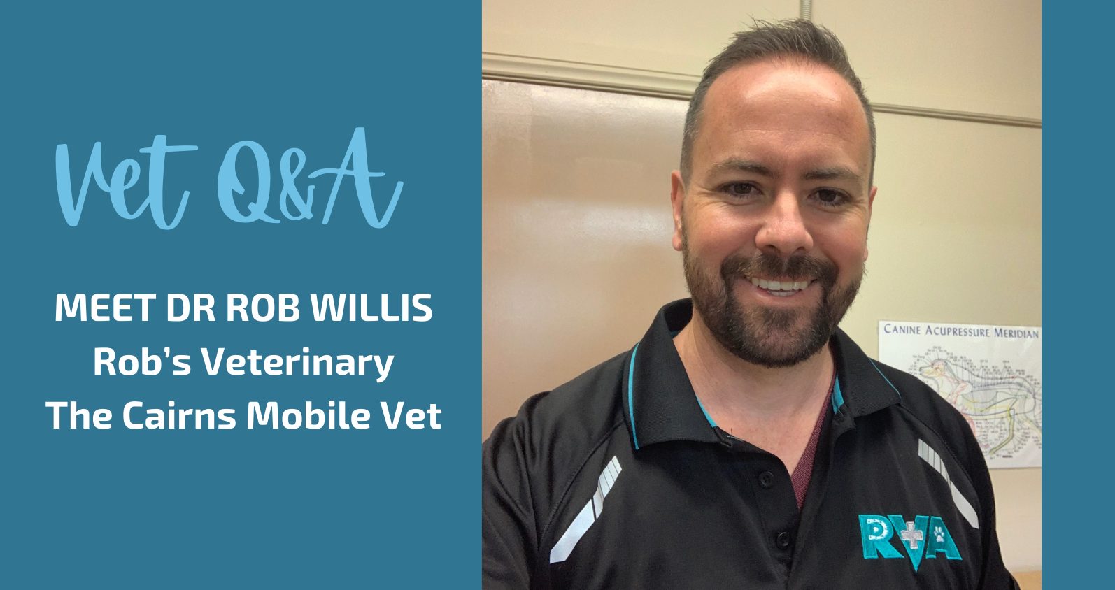 Q&A with Dr Rob Willis CBD Vets Australia