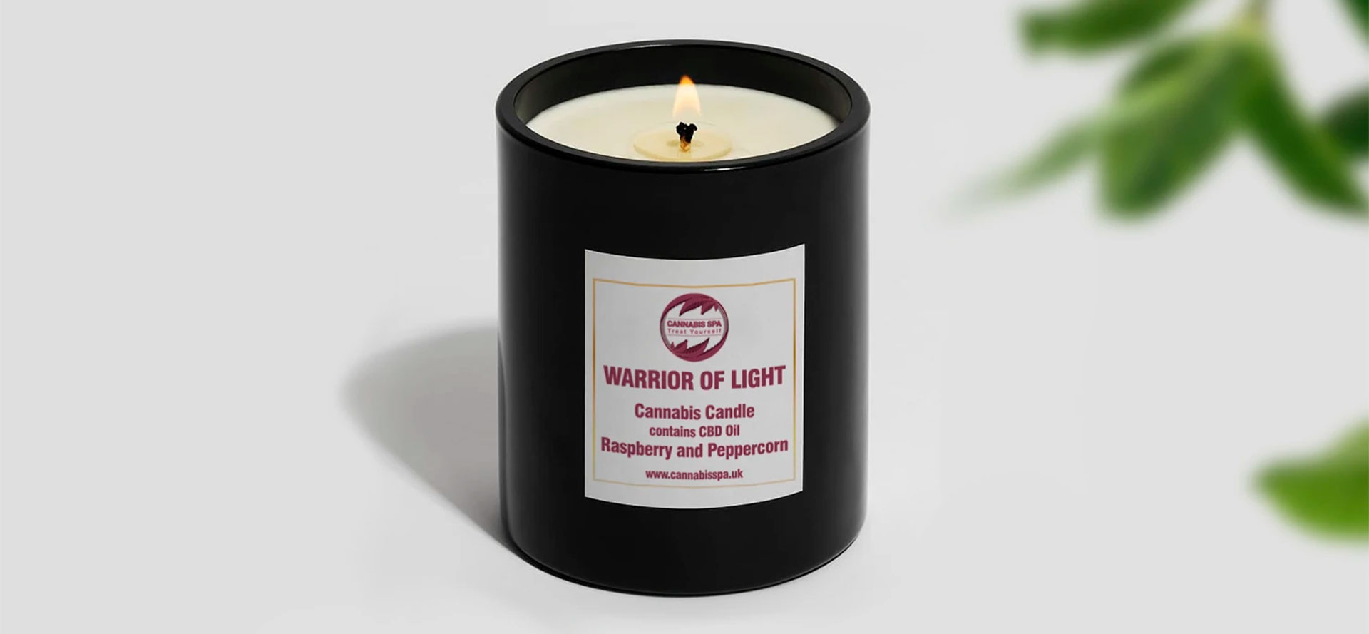 Best CBD Candles in 2024 Reviews Hemp Candles Benefits & Uses