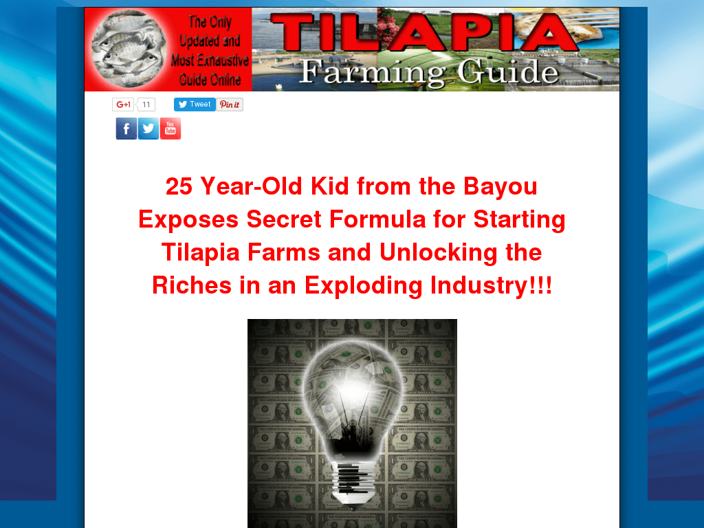 Tilapia Farming Guide Business And Investing Guide