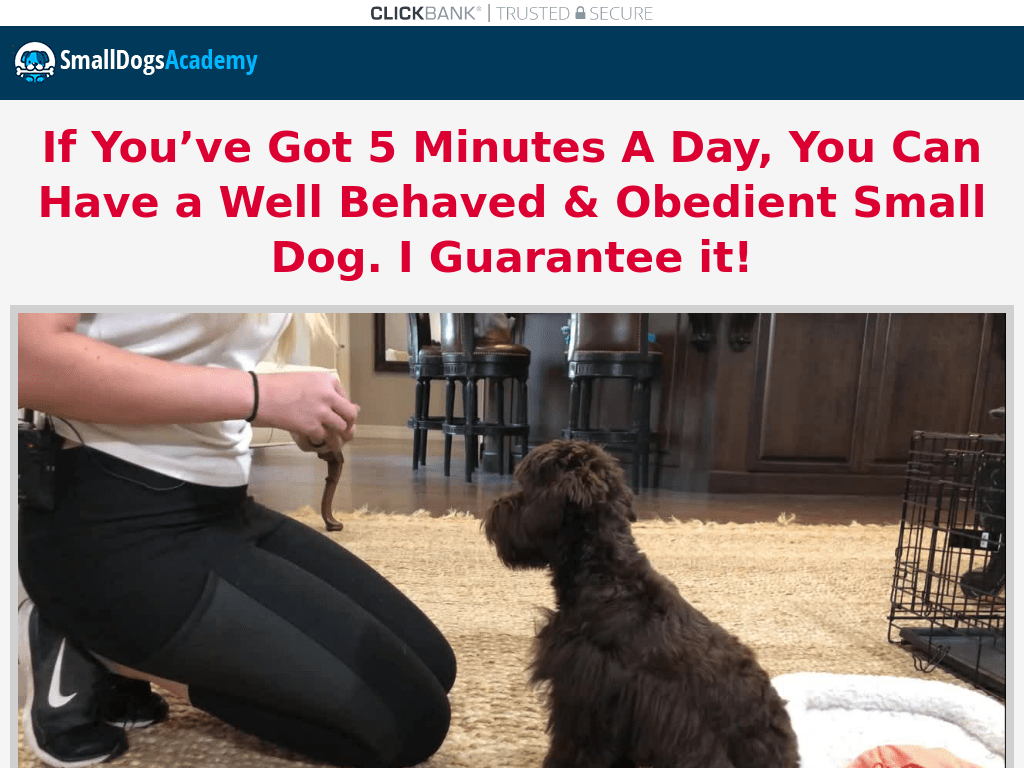 Dog Savvy Small Dogs Training Made Easy