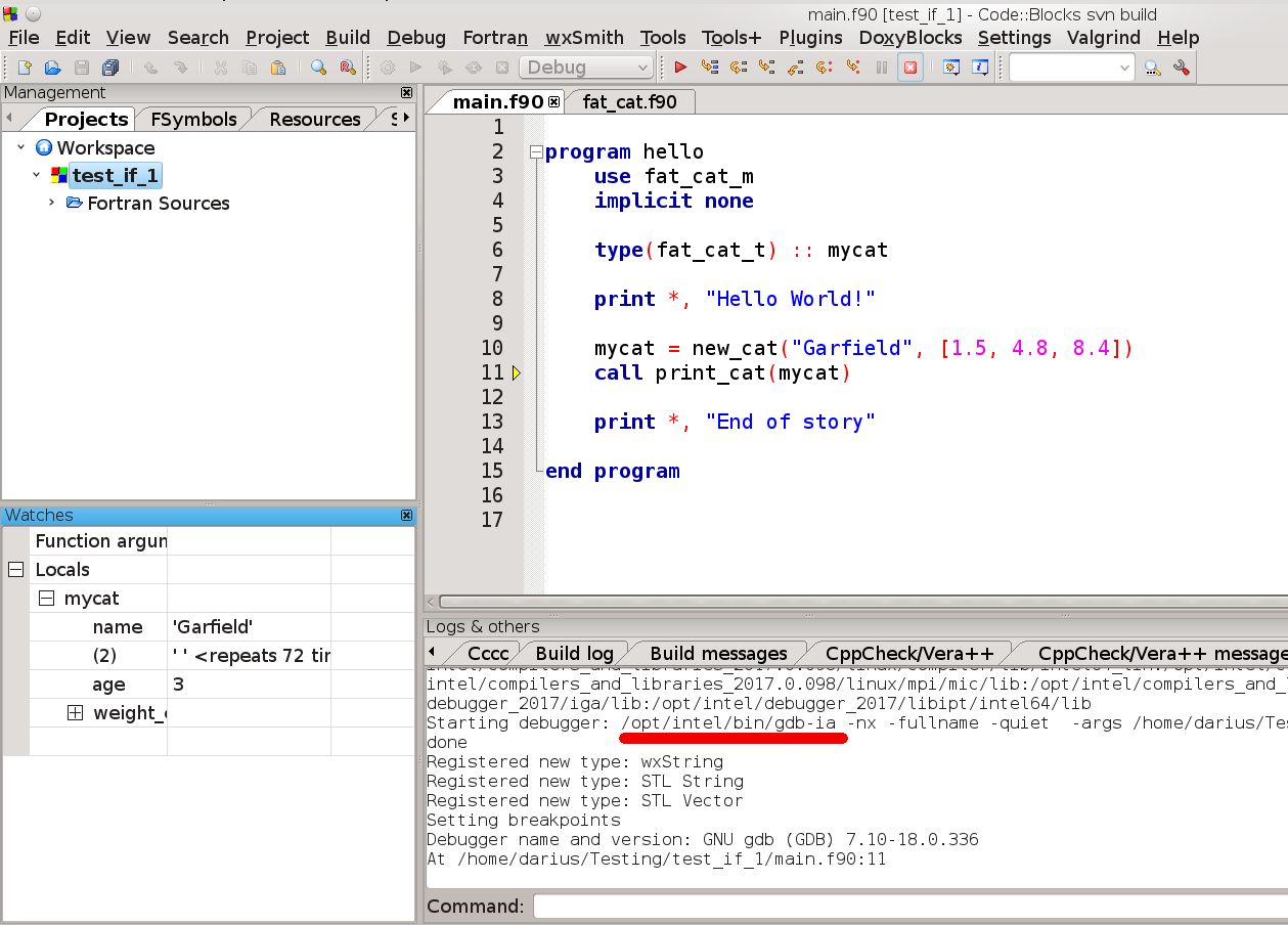 Setup of Intel's Fortran compiler on Linux CBFortran