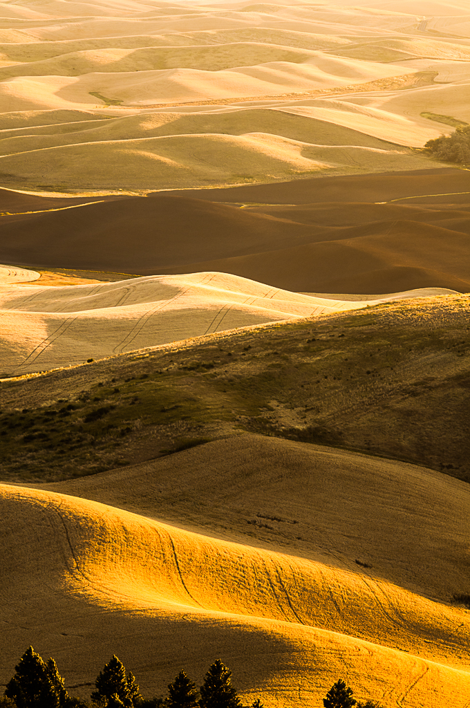 Galleries Cannon Beach Gallery Group