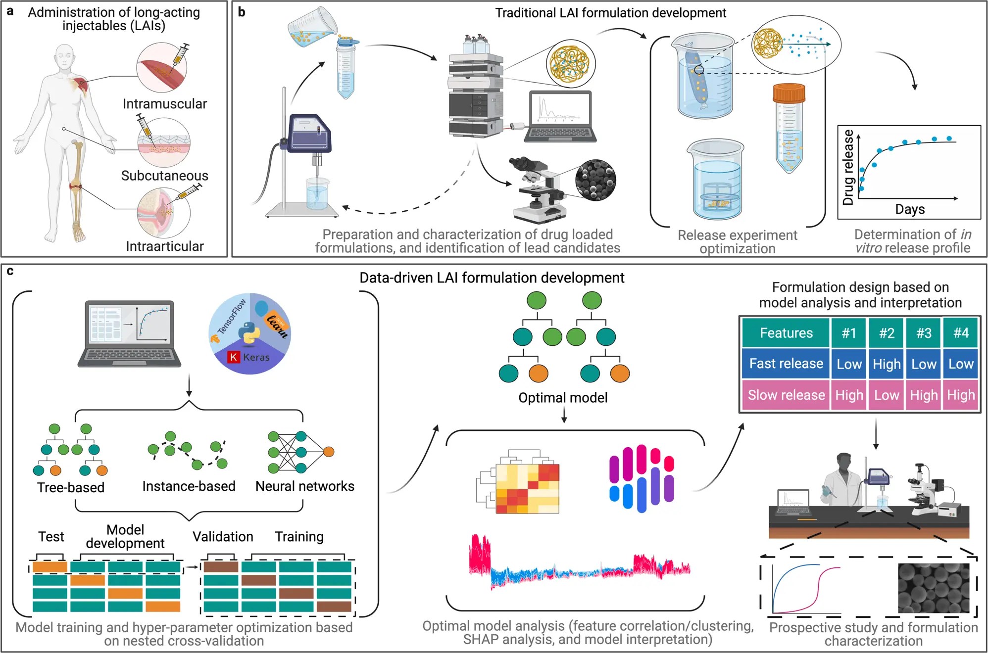 Speeding Up Drug Formulation Development Harnessing the Power of